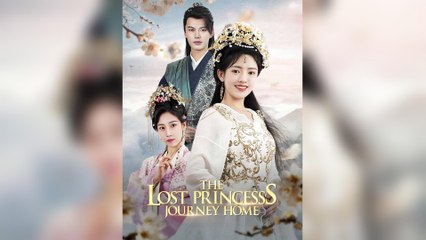 The Lost Princess Journey Home