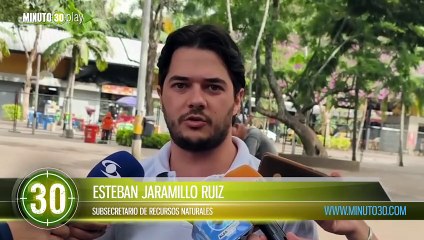 ¡Están matando los árboles patrimoniales! Medellín alzó la voz para cuidarlos
