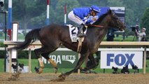 Top Contenders Clash in This Weekend's Jim Dandy Stakes