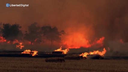 Dos muertos y varios heridos por un incendio forestal en Chipre
