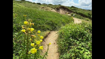 Images from around Daymer Bay, Polzeath and the Pentire headland in Cornwall by Andrew Townsend