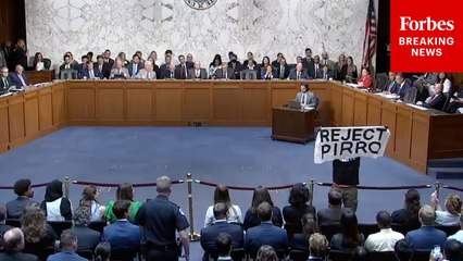 Anti-Jeanine Pirro Protesters Interrupt Senate Judiciary Committee Hearing