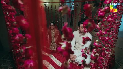 Raaja Rani - Episode 24 - 24th July 2025  - HUM TV