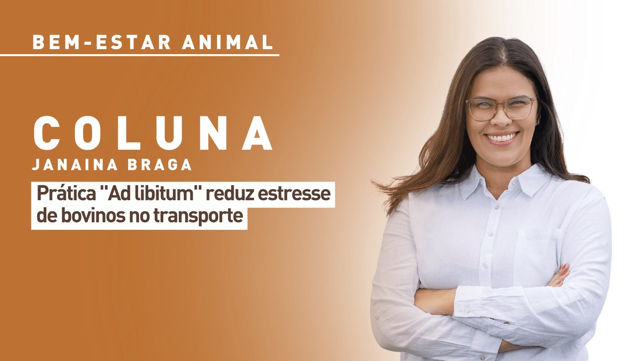 Bem-estar animal: prática "Ad Libitum" reduz estresse de bovinos no transporte