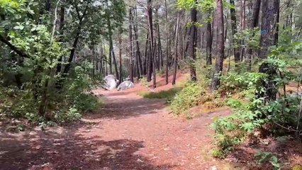 Randonnée sur la piste bleue