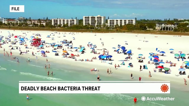 Four fatalities reported from deadly flesh-eating bacteria in Florida