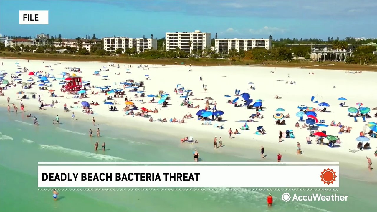 Four fatalities reported from deadly flesh-eating bacteria in Florida