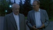 Lupii cenușii (1993)
