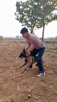 #Blogger#Vlogger#YouTuber#Vlogging#Vlog#DailyVlog#ShortsVlog#TravelVlog#VloggingTips#Vlogg(360p)