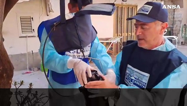 West Nile, trappole per monitorare le zanzare nel Casertano