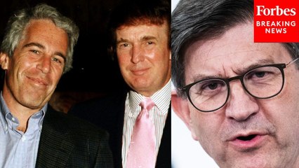 GOP Is 'Running Scared Of A Titanic Presidential Temper Tantrum Over' Epstein Files: Brad Schneider