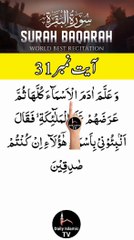Al-Quran - Surah 2 - Al-Baqara - Ayah 31 | daily islamic tv