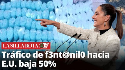 México reduce a la mitad el tráfico de f3nt@nil0, afirma Sheinbaum