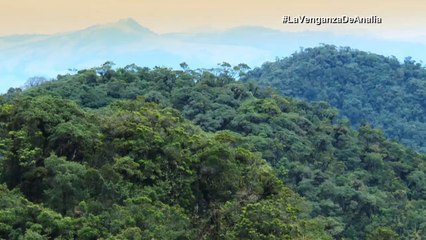 la venganza de Analía 2 capitulo 39 completo