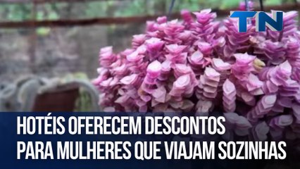 Rota das cavernas e plantas de medicinas | Caçadores de Destinos