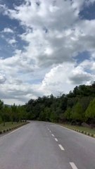 Sunlight Through the Trees