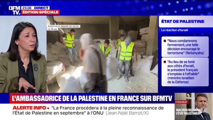 Annonce d'Emmanuel Macron sur la Palestine: "Nous restons attachés à une paix juste", déclare la représentante de la Palestine en France