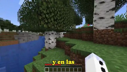 mejor capa para encontrar carbon 1.21 bedrock o java minecraft Según mi experiencia