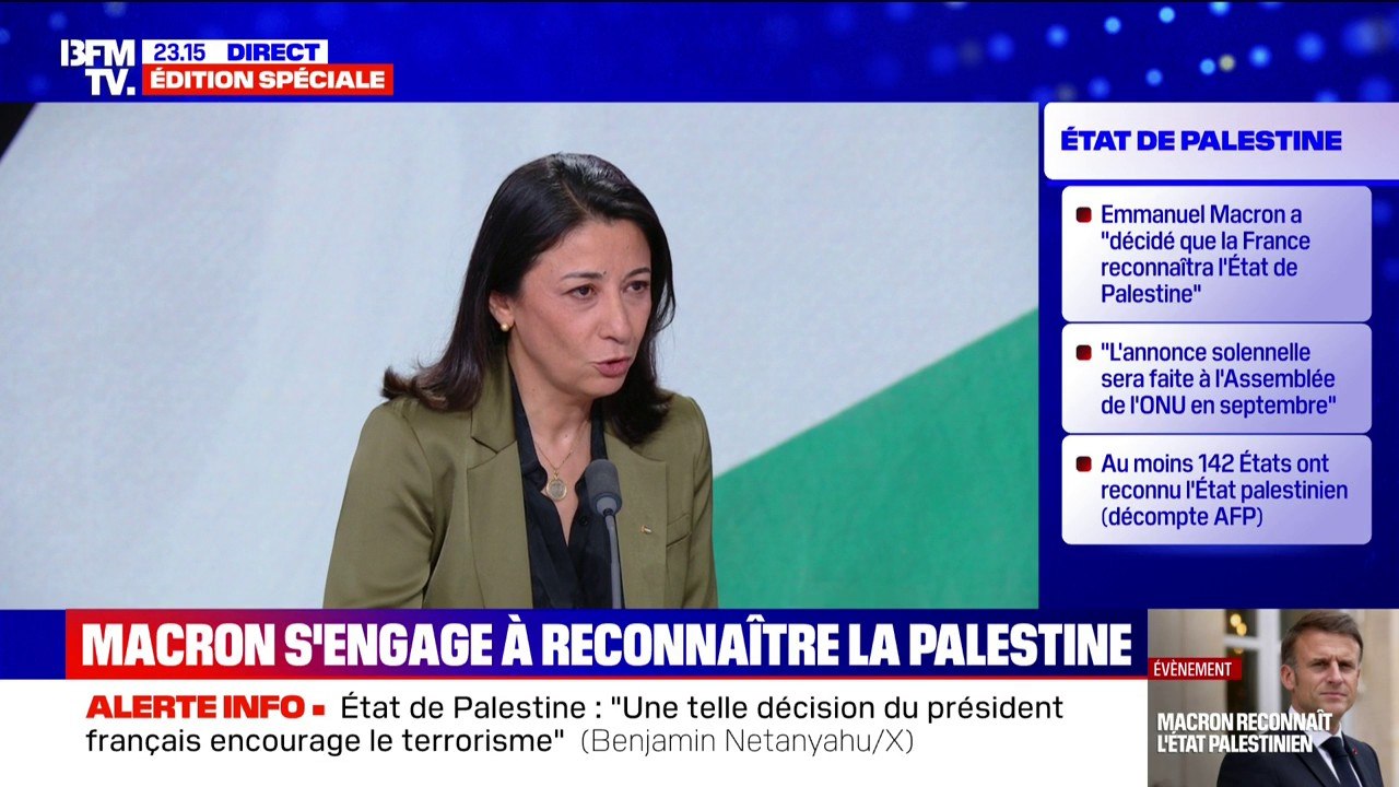 Palestine : "Israël doit choisir, est-ce qu'ils veulent la paix ou la destruction de toute la région ?", lance la représentante de la Palestine en France