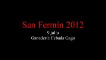 9-07-2012 (Cebada Gago)