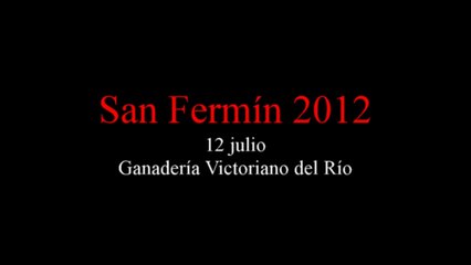 12-07-2012 (Victoriano del Río)
