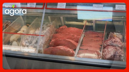 “Esse tarifaço vai prejudicar muito mais o americano do que que o pecuarista brasileiro”, diz profª