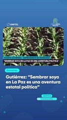 Gutiérrez: "Sembrar soya en La Paz es una aventura estatal política"
