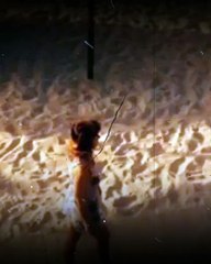 Esencja prawie czysta, co wielu robi różnicę.