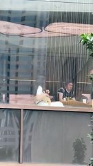 Anne Hathaway y Stanley Tucci, durante la filmación de El Diablo viste a la Moda 2