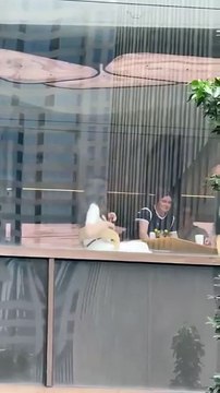 Anne Hathaway y Stanley Tucci, durante la filmación de El Diablo viste a la Moda 2