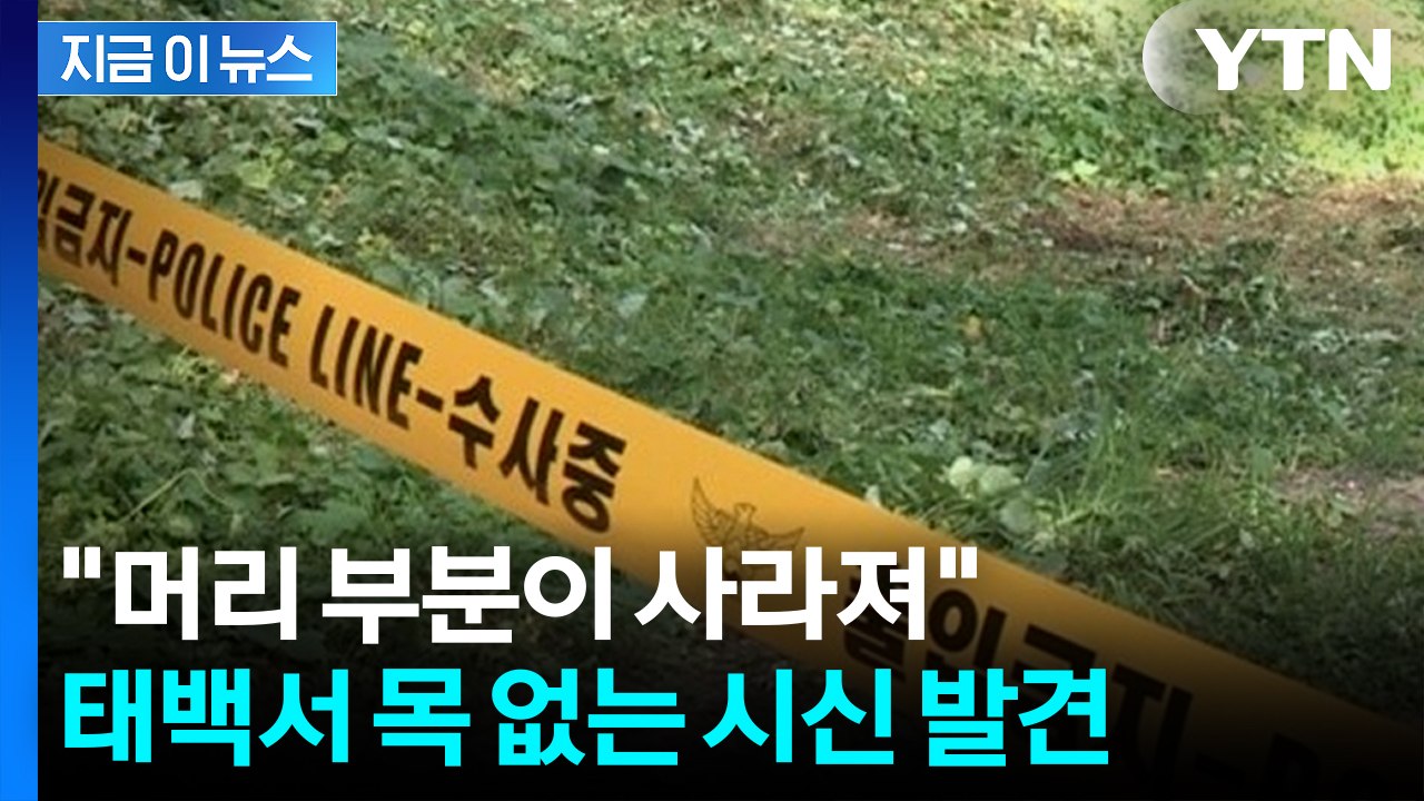 머리 부분 사라진 시신 발견...심각한 부패 상태에 신원확인 난항 [지금이뉴스] / YTN