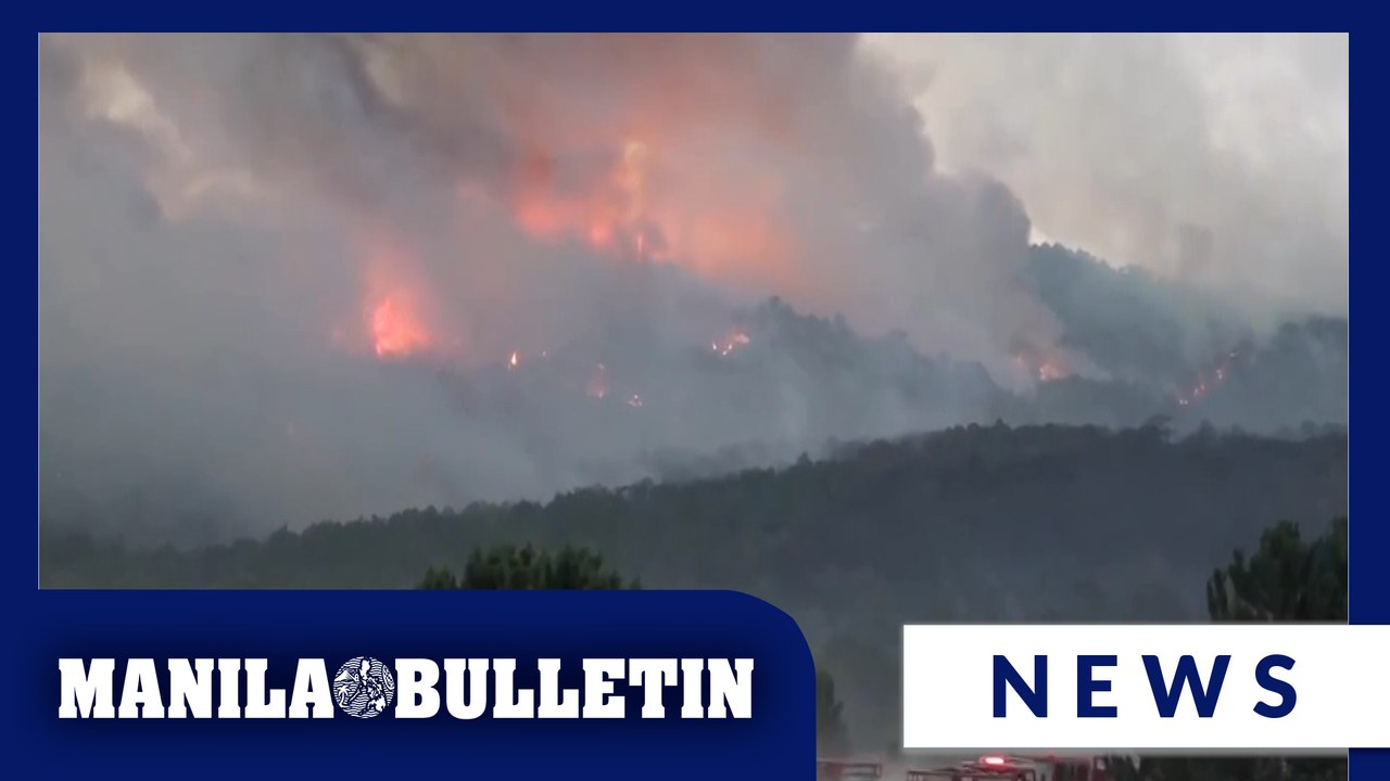 At least 10 firefighters and rescue workers killed battling wildfire in northwestern Turkey