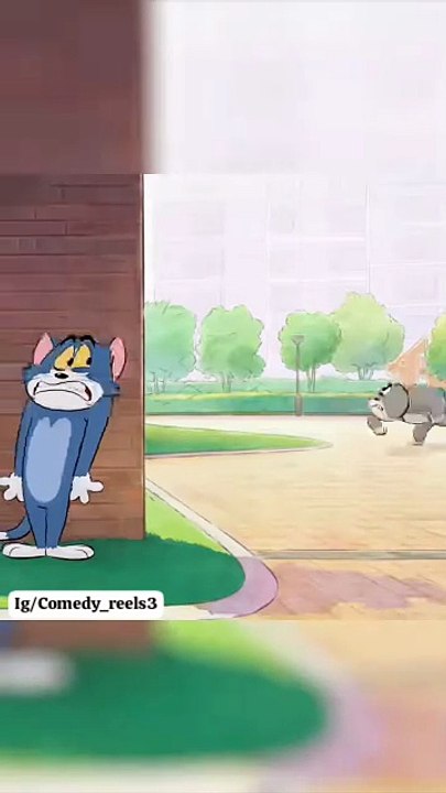 Tom and jerry