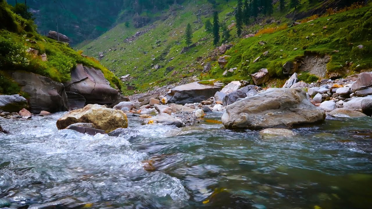 Mind Relaxing Water Sounds 💧 | Gentle River & Nature Ambience for Meditation, Yoga & Sleep