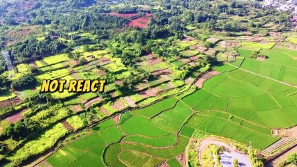 Your Emotions Are Your Biggest Enemy