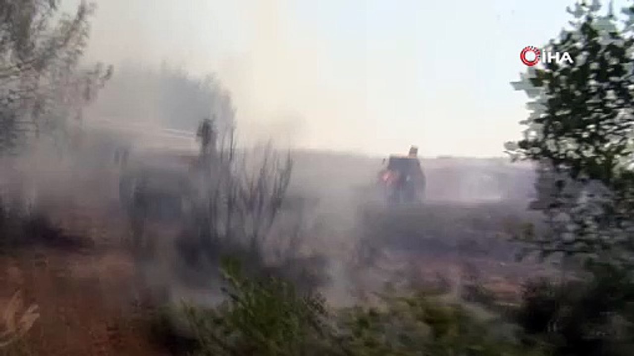 Orman yangınında muhabirin zor anları kamerada