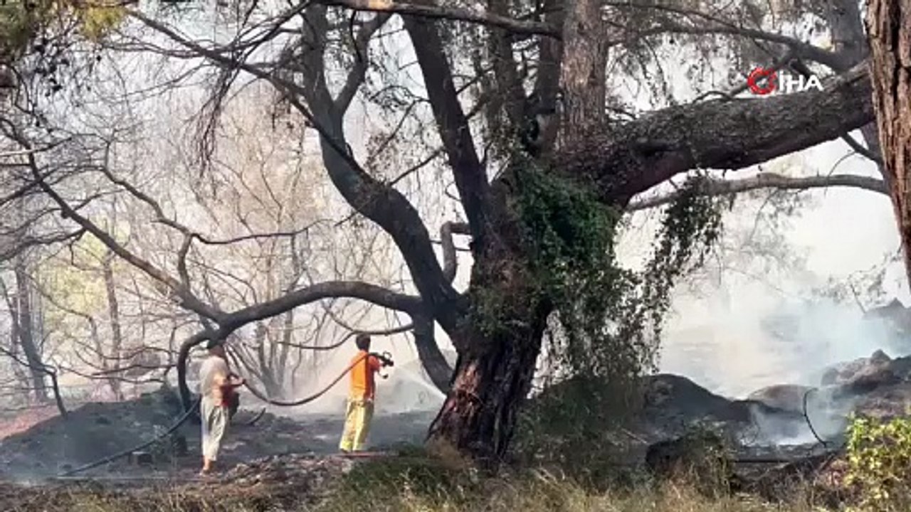Antalya’da farklı noktada bir orman yangını daha