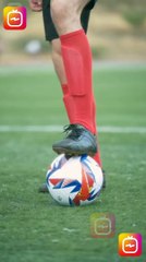 Mi Vecino El Capitan Completa