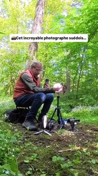 Ce photographe ( @squirrels_by_fotoscenen )s’installe en forêt à Göteborg en Suède depuis 2017 pour capturer des moments magiques avec les animaux 📷