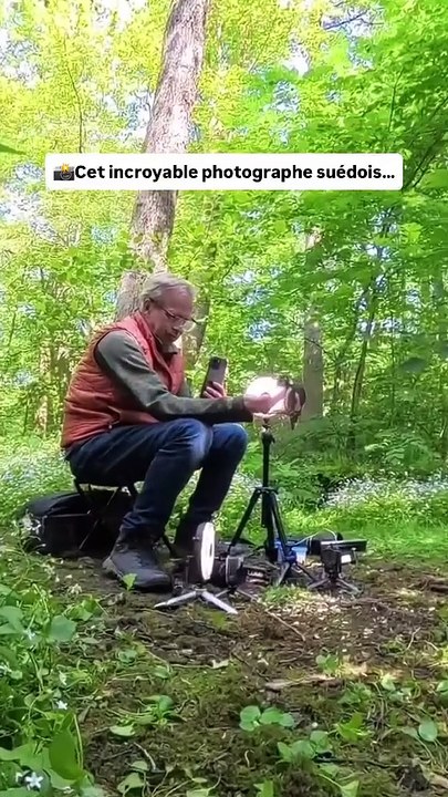 Ce photographe ( @squirrels_by_fotoscenen )s’installe en forêt à Göteborg en Suède depuis 2017 pour capturer des moments magiques avec les animaux 📷