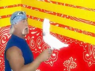 Hogan Knows Best Series 2 Episode 12 Brooke Signs a Record Deal