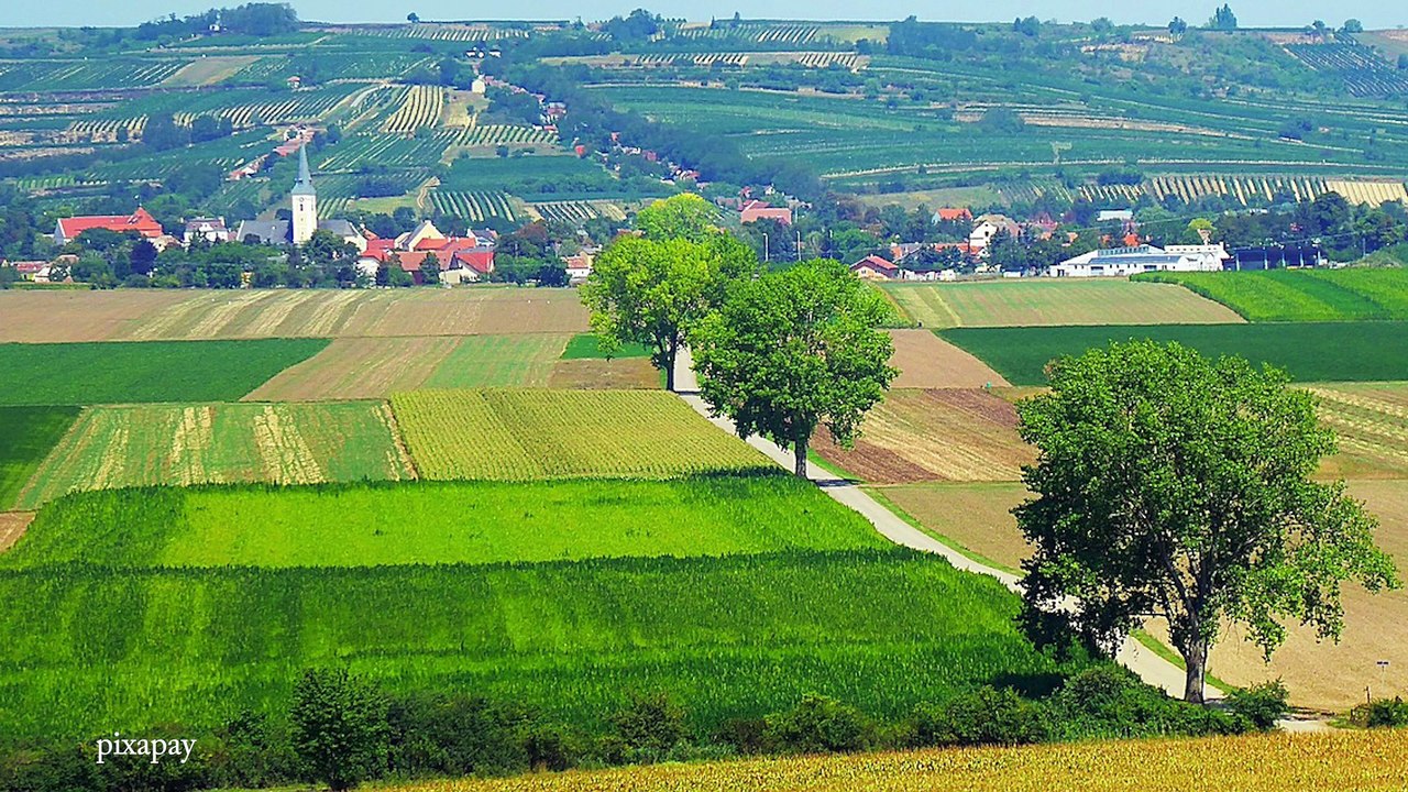 Sommer Genusstour im Weinviertel am 3. August