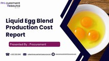 Liquid Egg Blend Production Cost