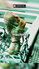 L'EFFICACITÉ des sableuses ! 🚨