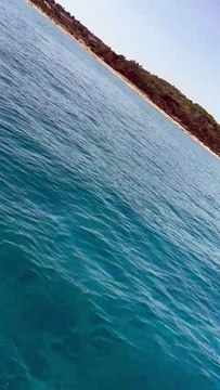 L'incendio di Cirò Marina, sono 245 gli ospiti evacuati dal villaggio turistico Volvito. In ospedale un animatore