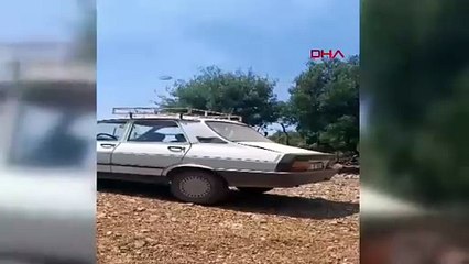 Bir orman yangını daha! Şimdi de Adana yanıyor!