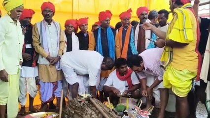 बस्तर दशहरा की पहली रस्म पूरी, पाठ जात्रा में रथ के लिए हुई लकड़ी की पूजा