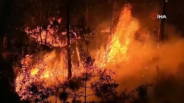 Gel de kahrolma! Karabük'teki orman yangınında küle dönen noktalar kamerada!