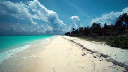 Beautiful Maldives Sea Beach