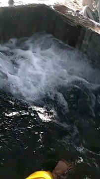 Village Memories 🍂🍁🕊️🏜️#viralvideo #foryou #trending #shorts #reels #reels #spotlight #love #snapchat #youtube #viral